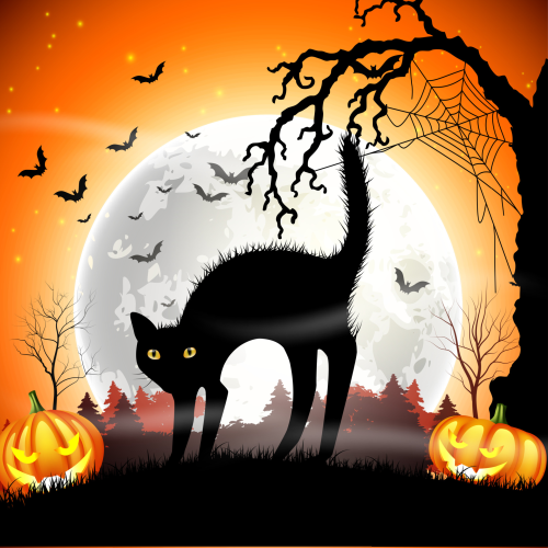 Happy Halloween!