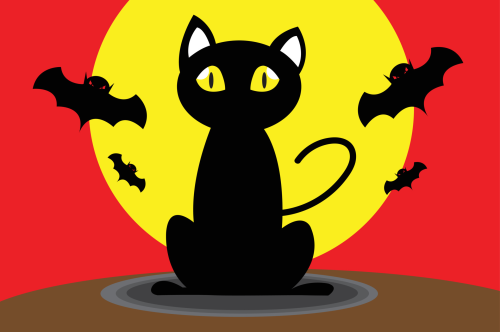 Happy Halloween!