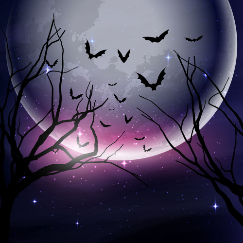 Happy Halloween!