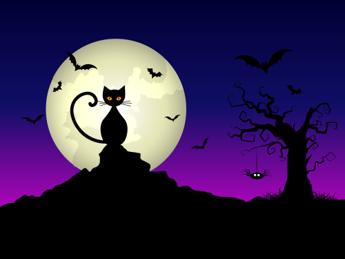Happy Halloween!